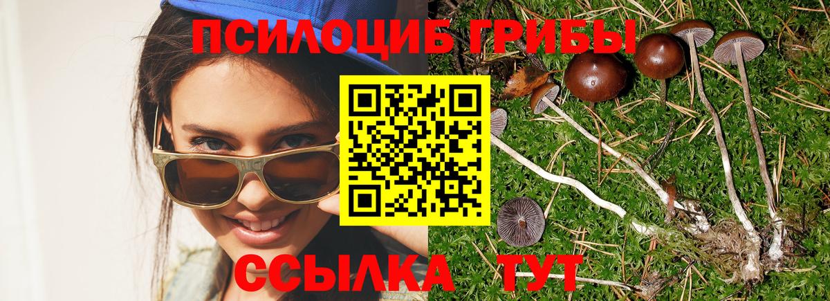 Кандалакша  Псилоцибиновые грибы мухоморы  Псилоцибиновые грибы Psilocybe  Вход с VPN 