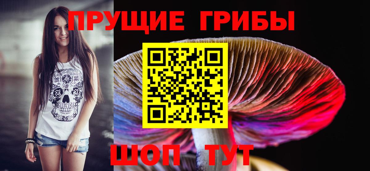 Псилоцибиновые грибы Magic Shrooms Кандалакша